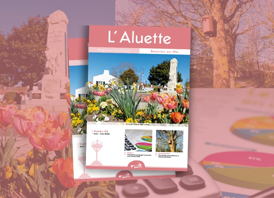 Aluette 176 UNE