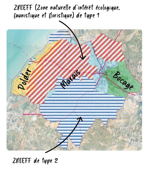 Carte gestion différenciée