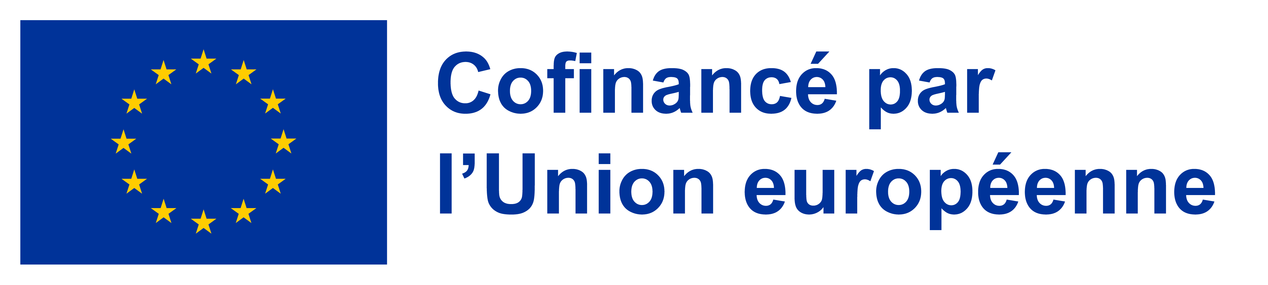 Co-funded by the EU