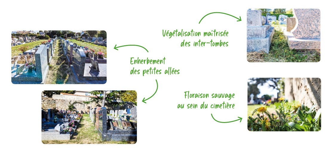 Gestion différenciée cimetière