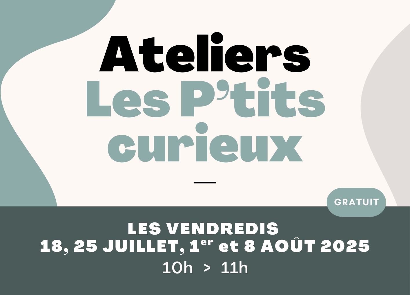 P'tits curieux 2025 bandeau