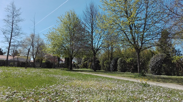 parc des jacobins tilleuls
