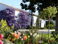Fleurs
